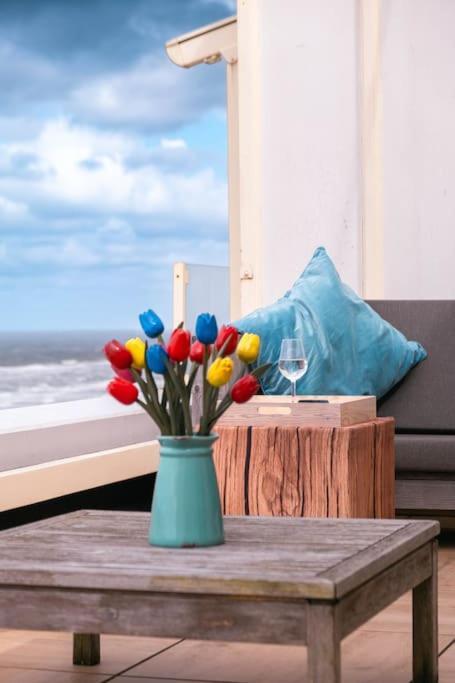 Kraaiennest Apartment Егмонд ан Зее Екстериор снимка