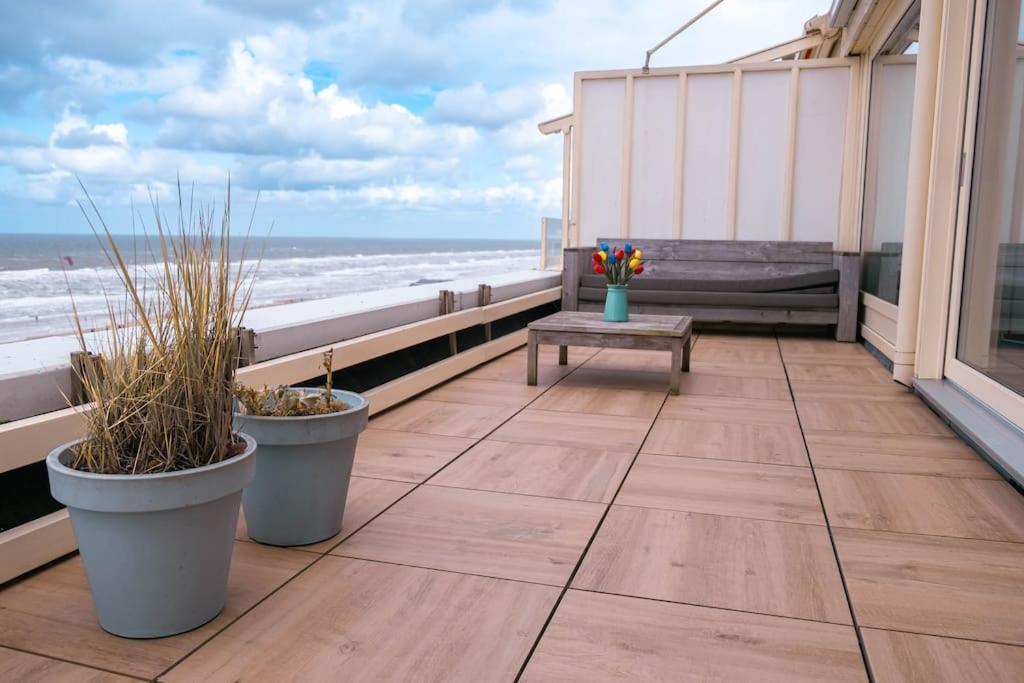 Kraaiennest Apartment Егмонд ан Зее Екстериор снимка