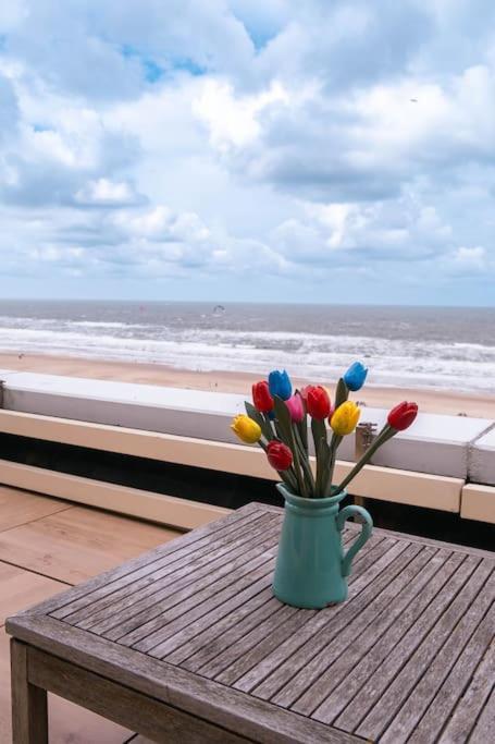 Kraaiennest Apartment Егмонд ан Зее Екстериор снимка
